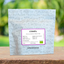 Bolsa de Café de especialidad de Etiopía con notas a manzana, cítricos y miel.  Café Tostado en Málaga