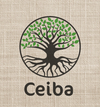 Pack para filtro con V60 + Molinillo Hario + Café con envío gratis - Café Central