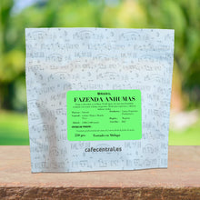 Fazenda Anhumas. Brasil