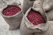 Pack con Prensa Francesa + Café + Envío gratis - Café Central